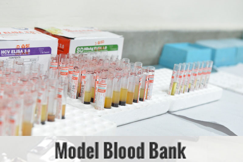 Model Blood Bank